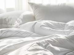 (닌자고)Winter Fever