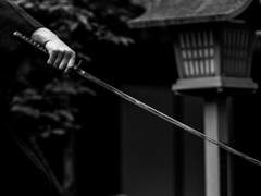 켄도 / 250_22 / (객사) 원귀