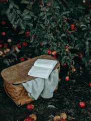 The Catcher in the Garden