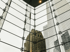 수인들의 조직같지 않은 조직생활