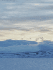 국장님을 구출해라