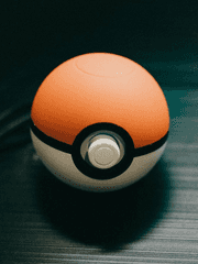 (포켓몬)내가 꿈꿨던 세계