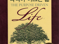 우리 부모님께서 남편을 미래의 장로감이라 칭한다.