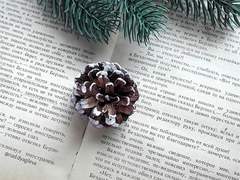 새하얀 설원 속 서고(書庫)