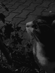 𝐺𝑙𝑜𝑜𝑚 어두운 곳 #1