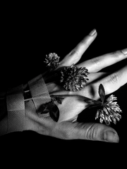 마파두부 란이랑 순두부 드림주의 연애일기 