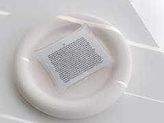 Authorized 'DREAMER' Only!