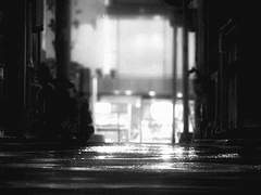 속殐 모를 시殺