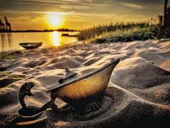 (닌자고)careful what you wish for