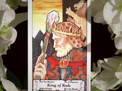 이번 주의 카드: King of Wands
