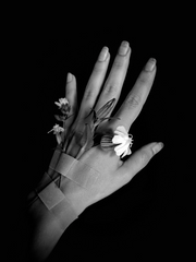 도리벤 캐들에게 집착이란..