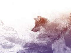 내리던 눈에 한 서린 애정을 담아