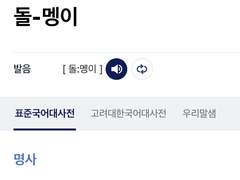 나는 돌멩이다.