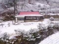 꽃잎이 떨어지는 날 下