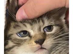 트윗백업 - 22년 11월