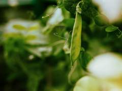 Everyday Responsibilities (일상의 책임)