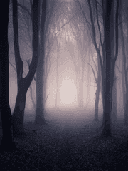 푸른늑대의 괴수와 저주받은 아이