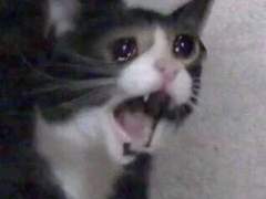 어릴때 어이없는 기억들