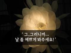 14. 날 좀 예쁘게 봐주세요