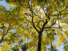 [윈팀] 짝사랑의 굴레 4