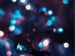 Chapter -A Supplementary Story Episode 4 (카피페/ 2/ ??)