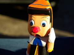 착각도 병이지 #5