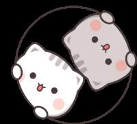 로라와 로이의 시선