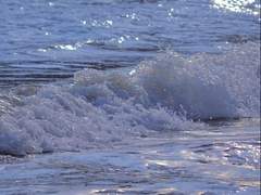 [화산귀환 / 청명이설] 인어귀환 -上-