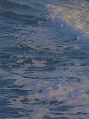 S급 센티넬이 치유계면 안되는걸까