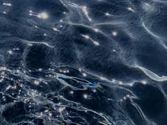 인어는 살아있어요