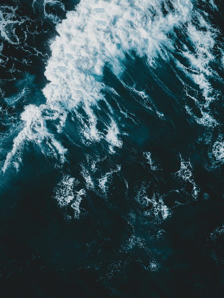 우선은 지금을 살아야 하므로