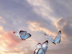 내게 가장 찬란한 시간을 선물해준 그에게.