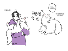 [mx] 채꿍 채냥이