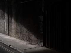 [조로산] Solum omnium lumen