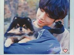 나 말고 강아지한테만 관심 가지는 여자친구