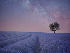 ⚜️그 날, 그 길에서 우린 COMMISSION(닫음)