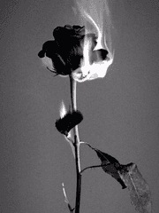 𝓐𝓮𝓽𝓱𝓮𝓻