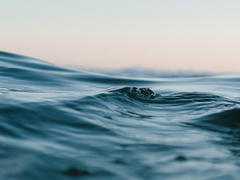 사랑에 빠진 나비Qual farfalletta amante(3, 完)