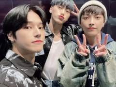 올팬에게도 최차애는 생기기 마련