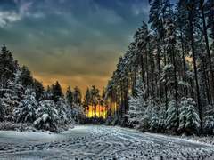 [탑건/매브아이스] White