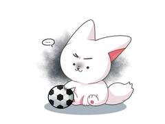 버미호와 축구?