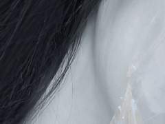 [요청 폭주] 인증된 사람이 알려주는, 피부 “진짜” 하얘지는 법