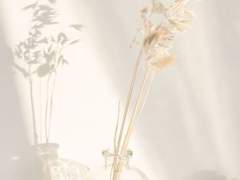 <스터디그룹> 너희와 우리