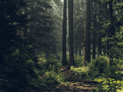 마도사 이야기:발란(5)