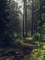 마도사 이야기:발란