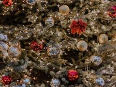 크리스마스의 천사에게