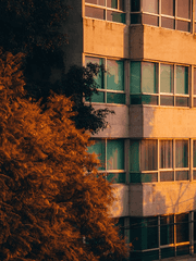 소설을 쓰는 법(장르 소설 위주의 예문을 통하여)