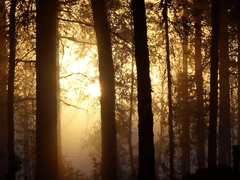 프롤로그. 탄생