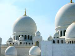 사막의 아스포델(1)