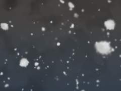 Event. 유리조각과 해파리 (이벤트 중지)